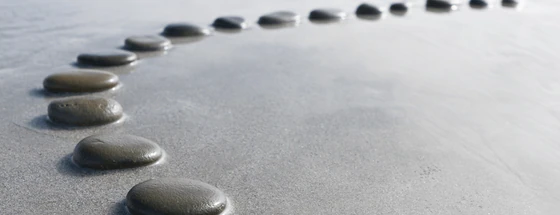 Line of smooth dark stones curving across wet sand
